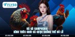 Đá gà Campuchia
