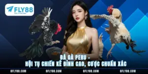Đá gà Peru