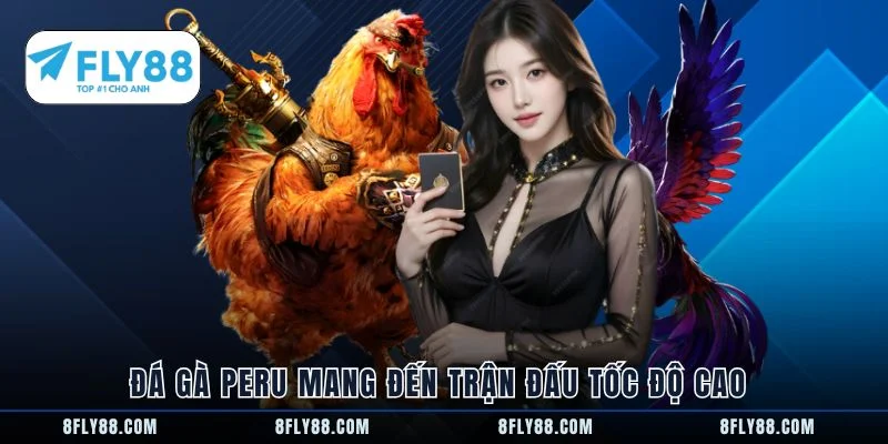 Đá gà Peru mang đến trận đấu tốc độ cao