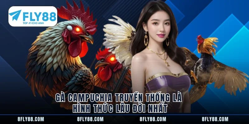 Gà Campuchia truyền thống là hình thức lâu đời nhất