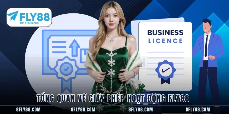 Tổng quan về giấy phép hoạt động FLY88